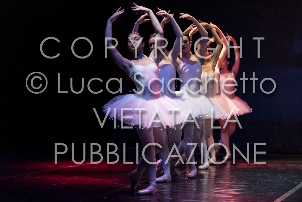 2022-SAGGIO-AUDITORIUM-662