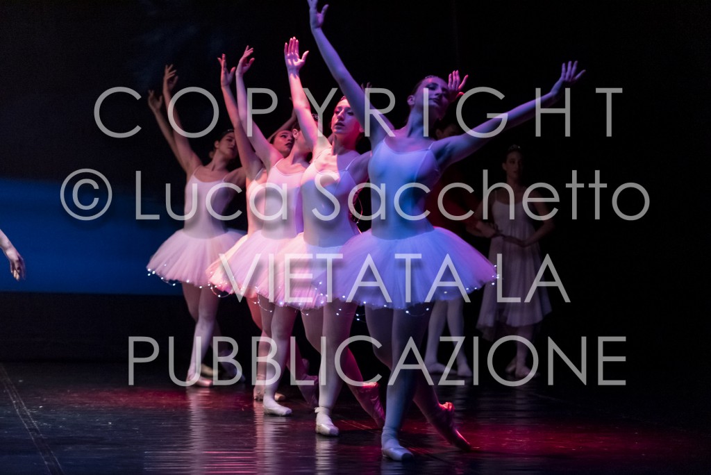 2022-SAGGIO-AUDITORIUM-663