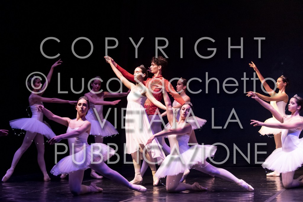 2022-SAGGIO-AUDITORIUM-667