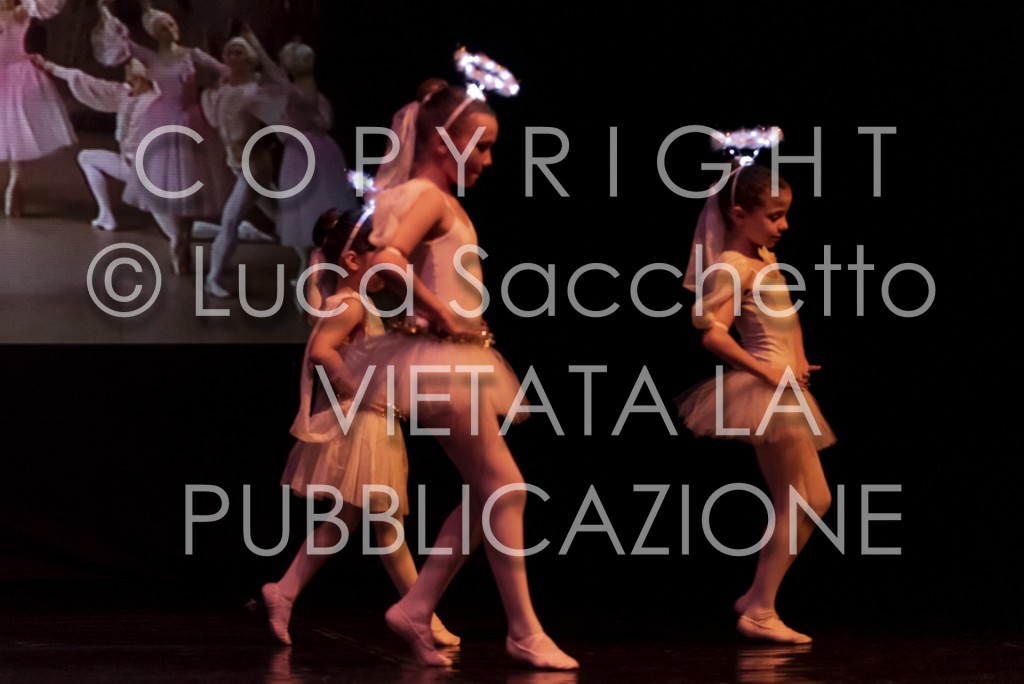2022-SAGGIO-AUDITORIUM-671