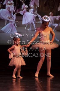 2022-SAGGIO-AUDITORIUM-672