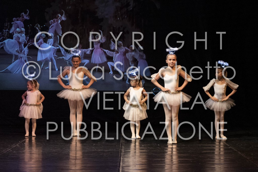 2022-SAGGIO-AUDITORIUM-675