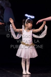 2022-SAGGIO-AUDITORIUM-691