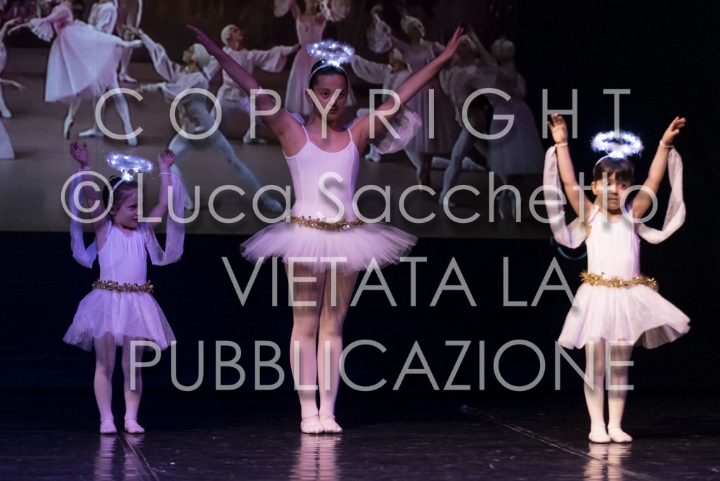 2022-SAGGIO-AUDITORIUM-696