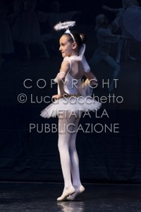 2022-SAGGIO-AUDITORIUM-700