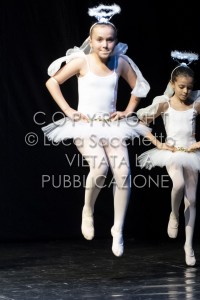2022-SAGGIO-AUDITORIUM-706