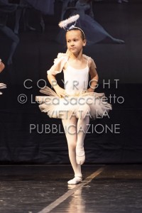 2022-SAGGIO-AUDITORIUM-714