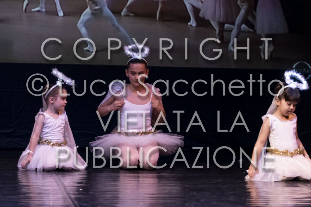 2022-SAGGIO-AUDITORIUM-733