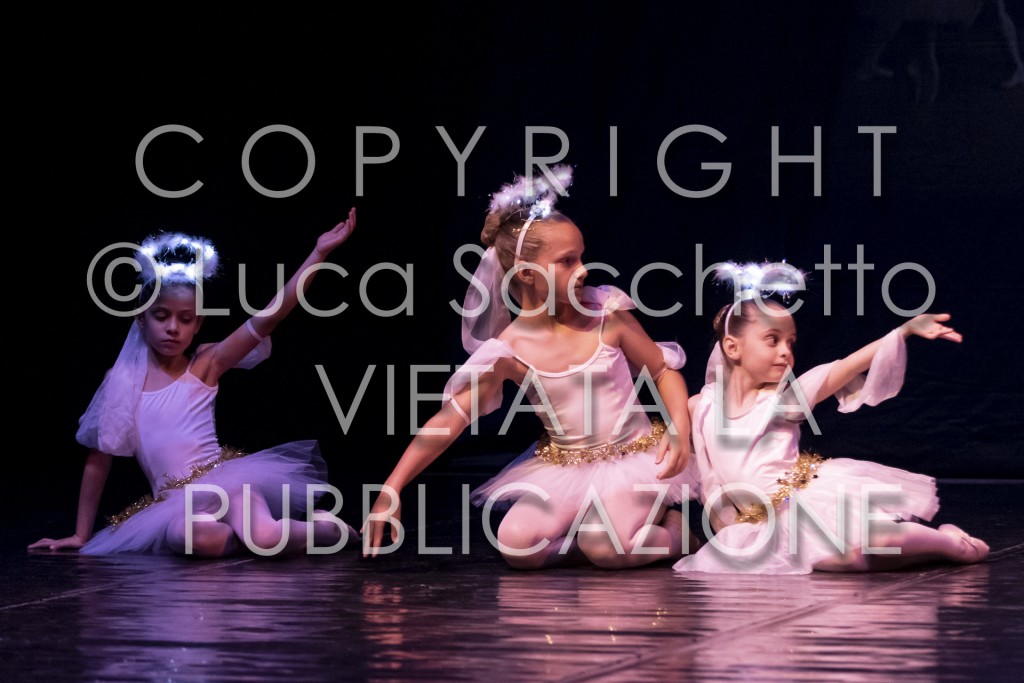 2022-SAGGIO-AUDITORIUM-737