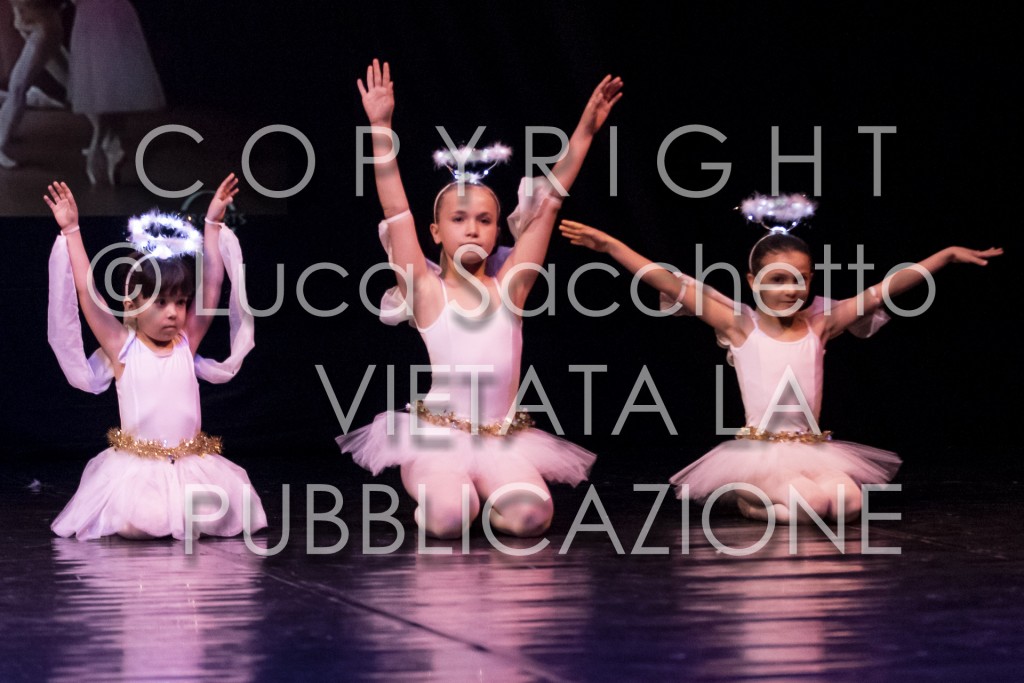 2022-SAGGIO-AUDITORIUM-739