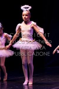 2022-SAGGIO-AUDITORIUM-743