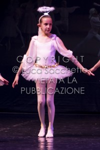 2022-SAGGIO-AUDITORIUM-745