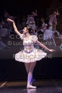 2022-SAGGIO-AUDITORIUM-754