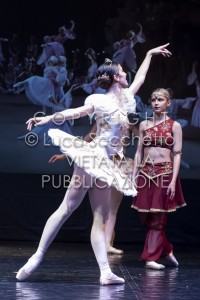 2022-SAGGIO-AUDITORIUM-762
