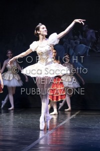 2022-SAGGIO-AUDITORIUM-773