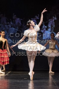 2022-SAGGIO-AUDITORIUM-775
