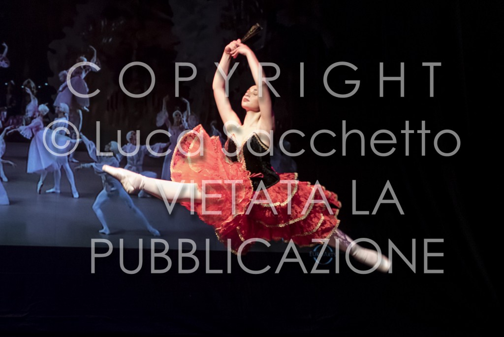 2022-SAGGIO-AUDITORIUM-777