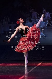 2022-SAGGIO-AUDITORIUM-779