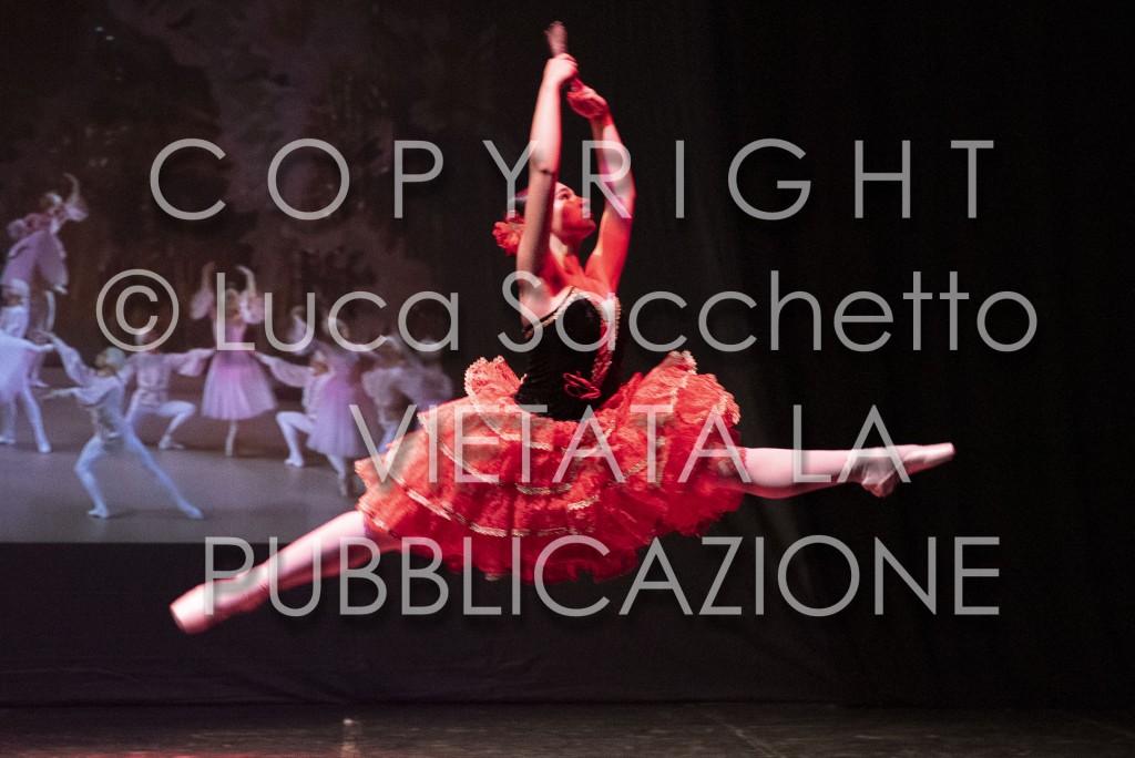 2022-SAGGIO-AUDITORIUM-780