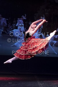 2022-SAGGIO-AUDITORIUM-783