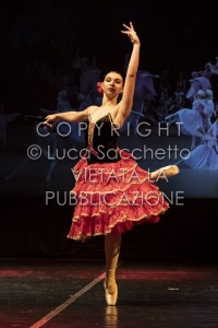 2022-SAGGIO-AUDITORIUM-789