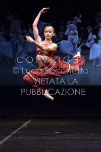 2022-SAGGIO-AUDITORIUM-815