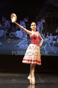 2022-SAGGIO-AUDITORIUM-826