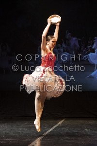 2022-SAGGIO-AUDITORIUM-827