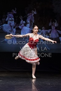 2022-SAGGIO-AUDITORIUM-828