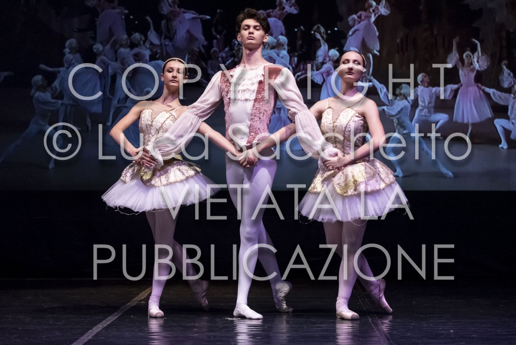 2022-SAGGIO-AUDITORIUM-829