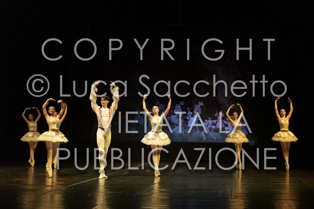 2022-SAGGIO-AUDITORIUM-831