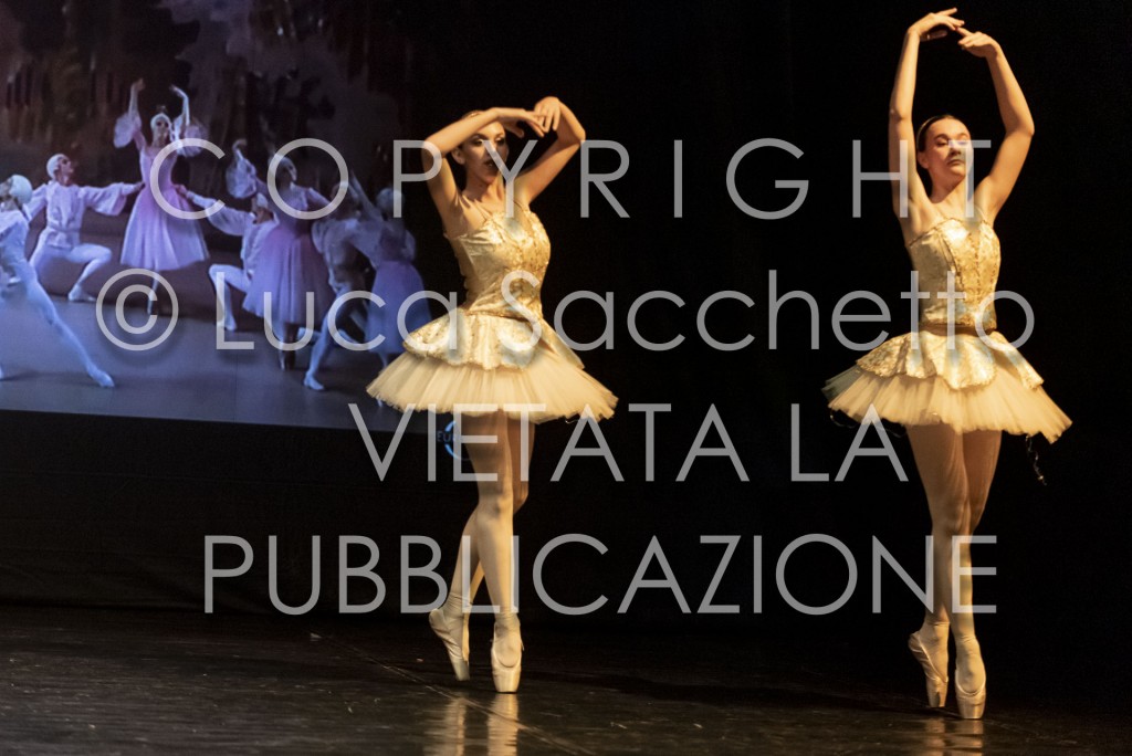 2022-SAGGIO-AUDITORIUM-832