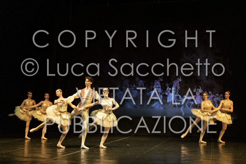 2022-SAGGIO-AUDITORIUM-833