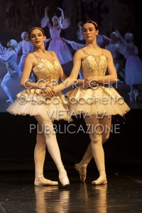 2022-SAGGIO-AUDITORIUM-834