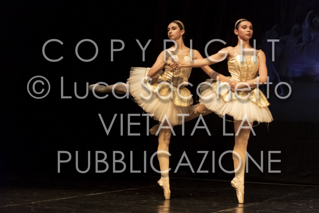 2022-SAGGIO-AUDITORIUM-835