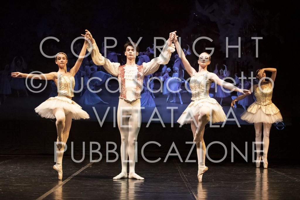 2022-SAGGIO-AUDITORIUM-837