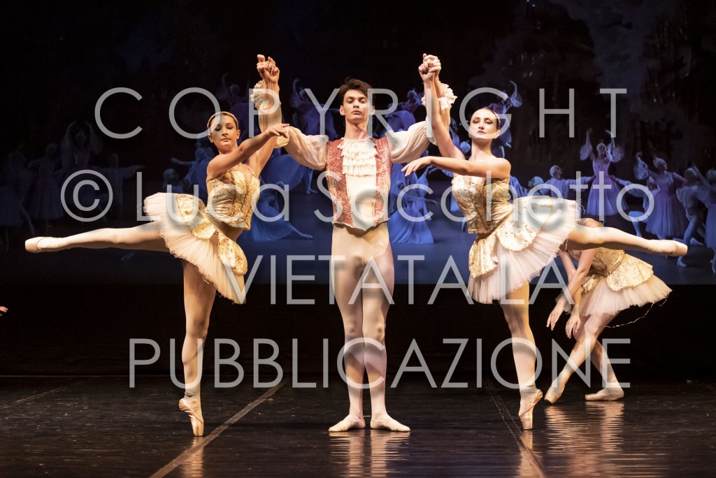 2022-SAGGIO-AUDITORIUM-838