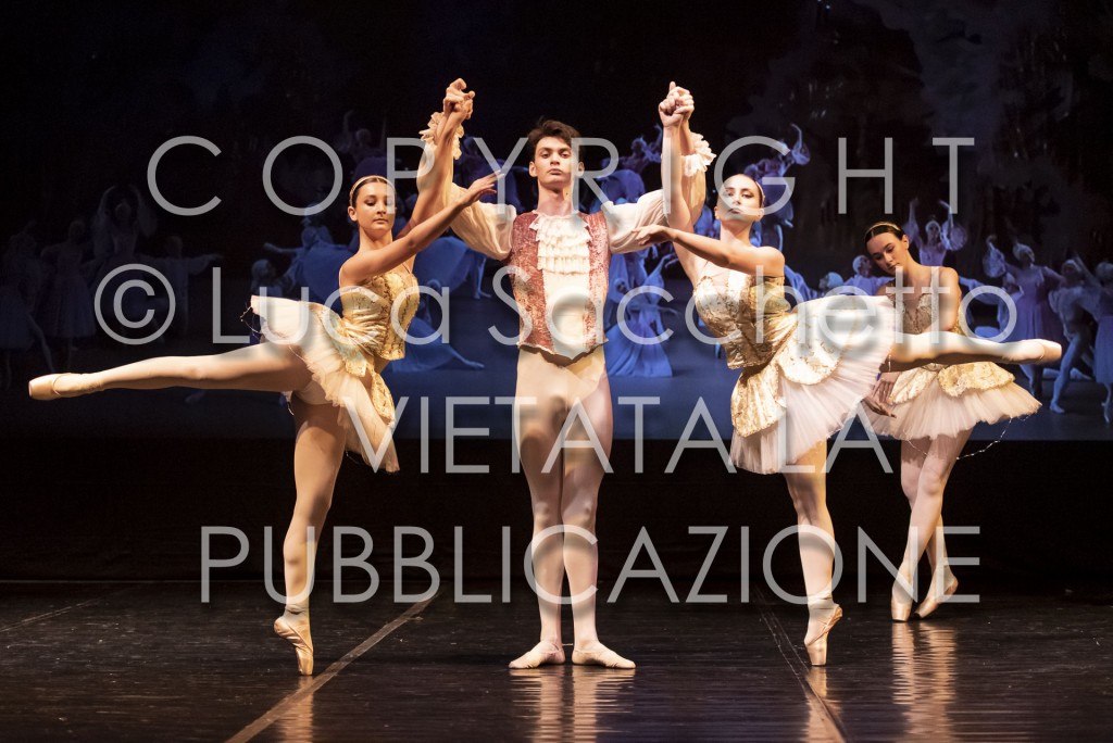 2022-SAGGIO-AUDITORIUM-839