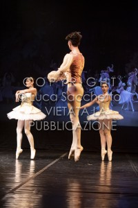 2022-SAGGIO-AUDITORIUM-840