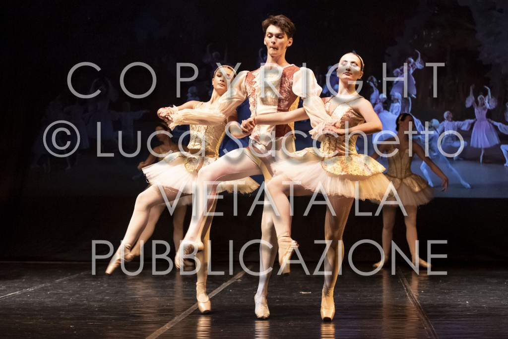 2022-SAGGIO-AUDITORIUM-841