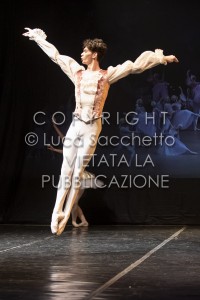 2022-SAGGIO-AUDITORIUM-844