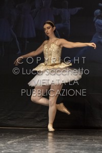2022-SAGGIO-AUDITORIUM-845