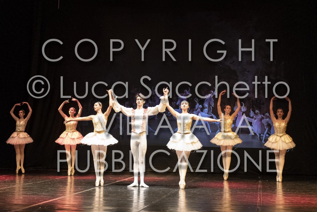 2022-SAGGIO-AUDITORIUM-847