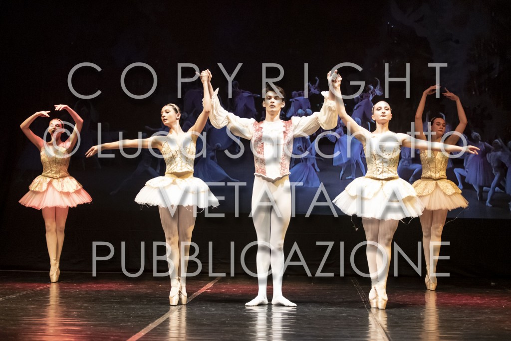 2022-SAGGIO-AUDITORIUM-848