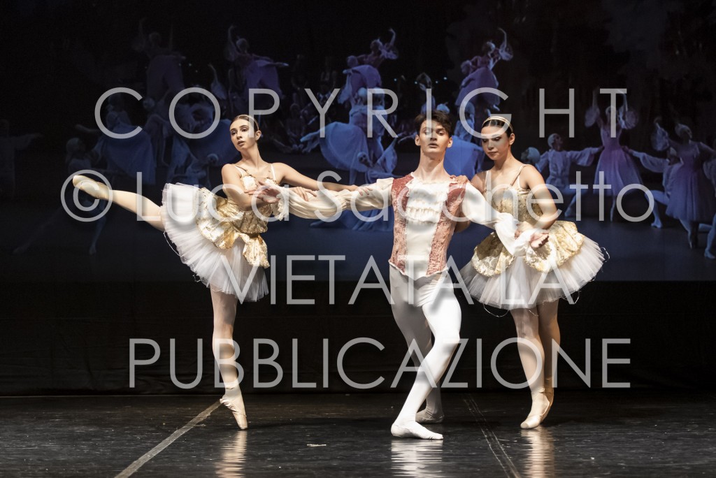 2022-SAGGIO-AUDITORIUM-851