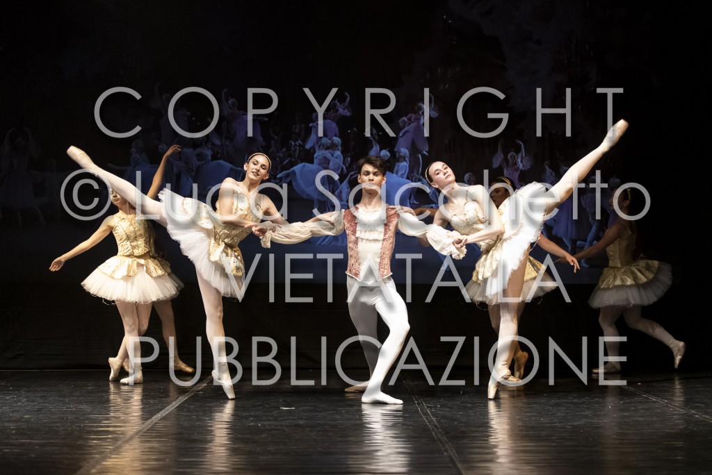 2022-SAGGIO-AUDITORIUM-852