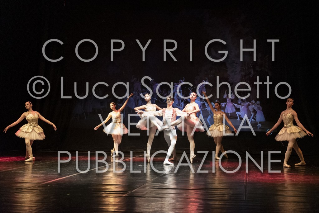 2022-SAGGIO-AUDITORIUM-853