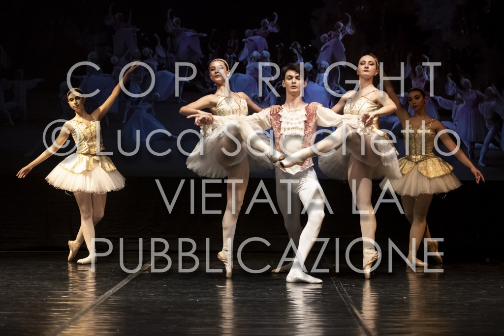 2022-SAGGIO-AUDITORIUM-854