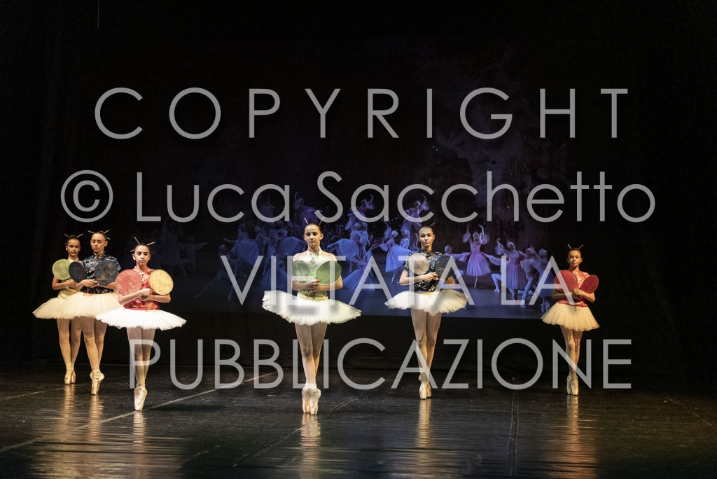 2022-SAGGIO-AUDITORIUM-856