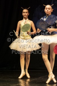2022-SAGGIO-AUDITORIUM-859
